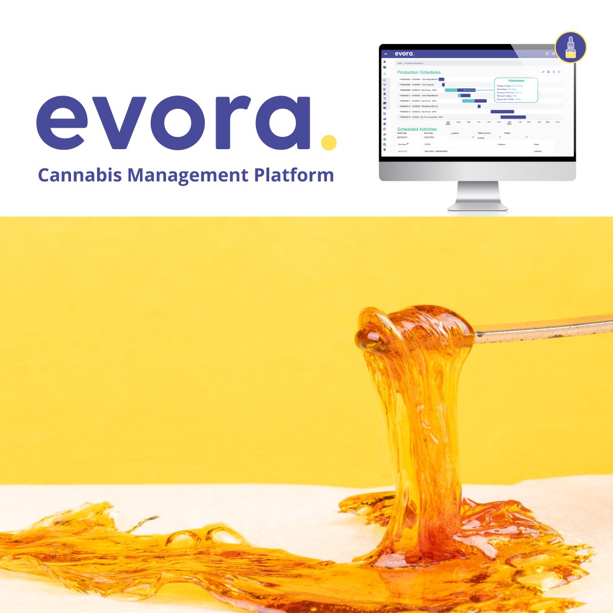 EVORA_Tech_01's tweet image. 🌿 Extracting the essence: Crafting top-tier cannabis oils requires precision and passion. Documenting the process? That&apos;s where Evora steps in. 💧

Don&apos;t let record-keeping bog you down. Dive into the world of efficient and easy tracking with Evora. Schedule a demo today! 🖥️🍃