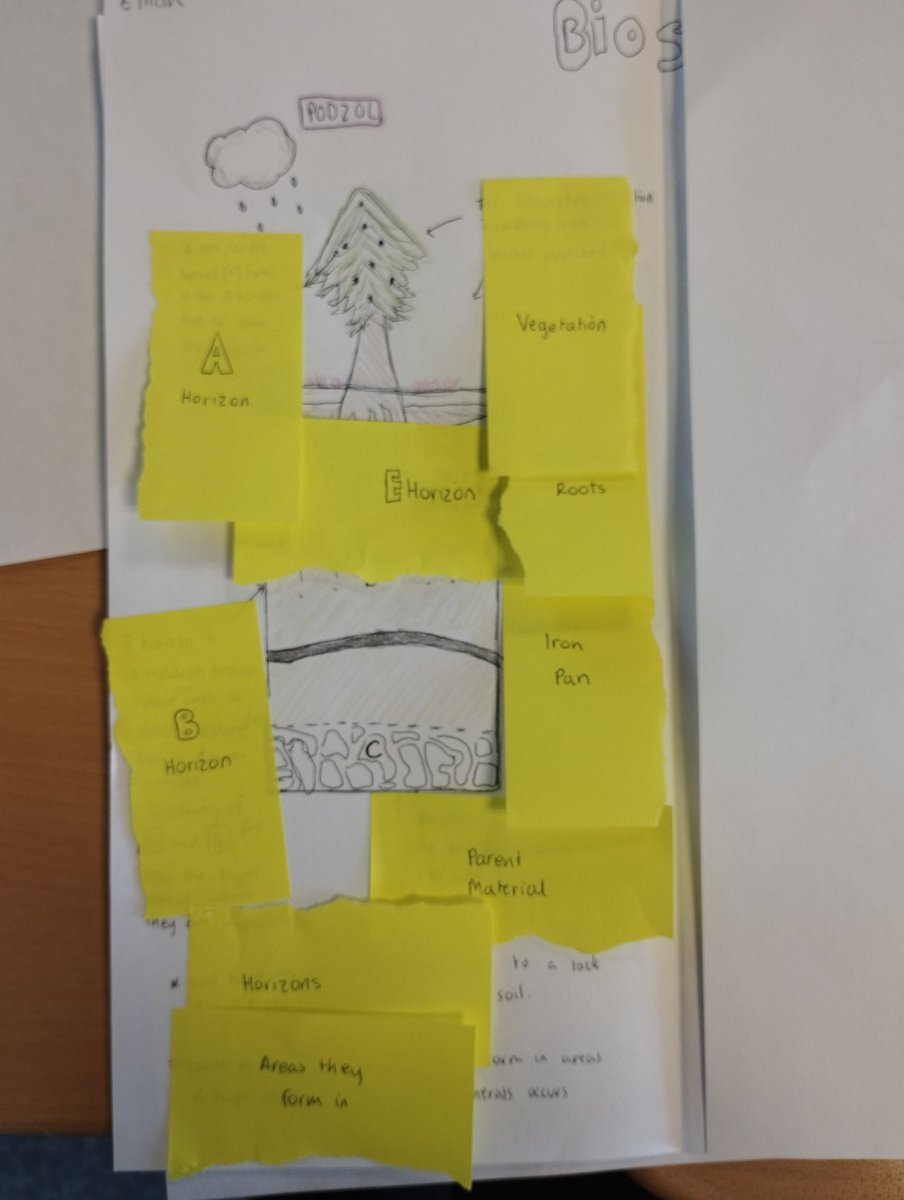 My Highers were today revising their podzol soils by drawing a labelled diagram &amp; creating lift-flaps out of post-it notes,  so they can test themselves.  These will be completed for each of the soils throughout the week 🌲 <a href="/HillheadHS/">Hillhead High School</a> <a href="/HHS_Humanities/">Hillhead Humanities</a> <a href="/SAGTeach/">SAGTeach</a>