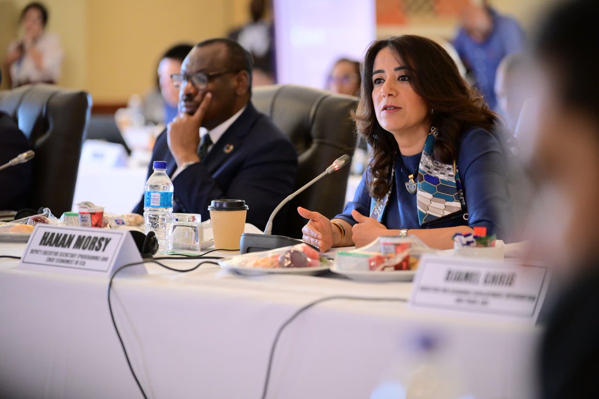 ECA_OFFICIAL's tweet photo. "#IMF 's Resilience and Sustainability Trust could catalyze long-term climate finance, by supporting #debtswaps, encouraging private sector participation, and building enabling frameworks & technical capacities for countries" - DES @HananMorsy14 at #HLWG meeting during #CoM2024 https://t.co/BxCxZiOiwb