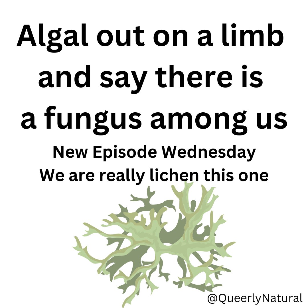 QueerlyNatural tweet media