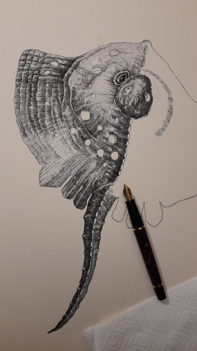 And under water again... and with ink too... #art #workinprogress #drawing #dessin #illustration #artist #fish #crosshatching #Waterman
