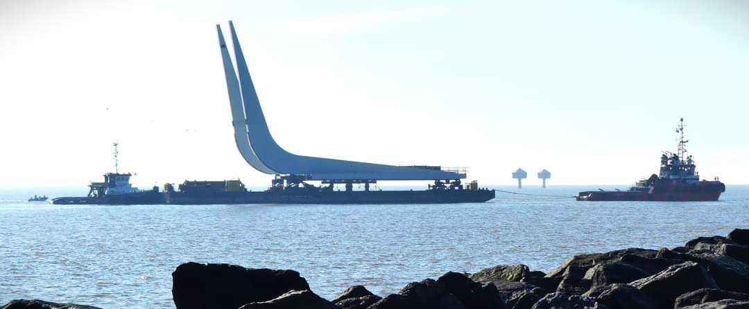 Shaun Cole tweet media