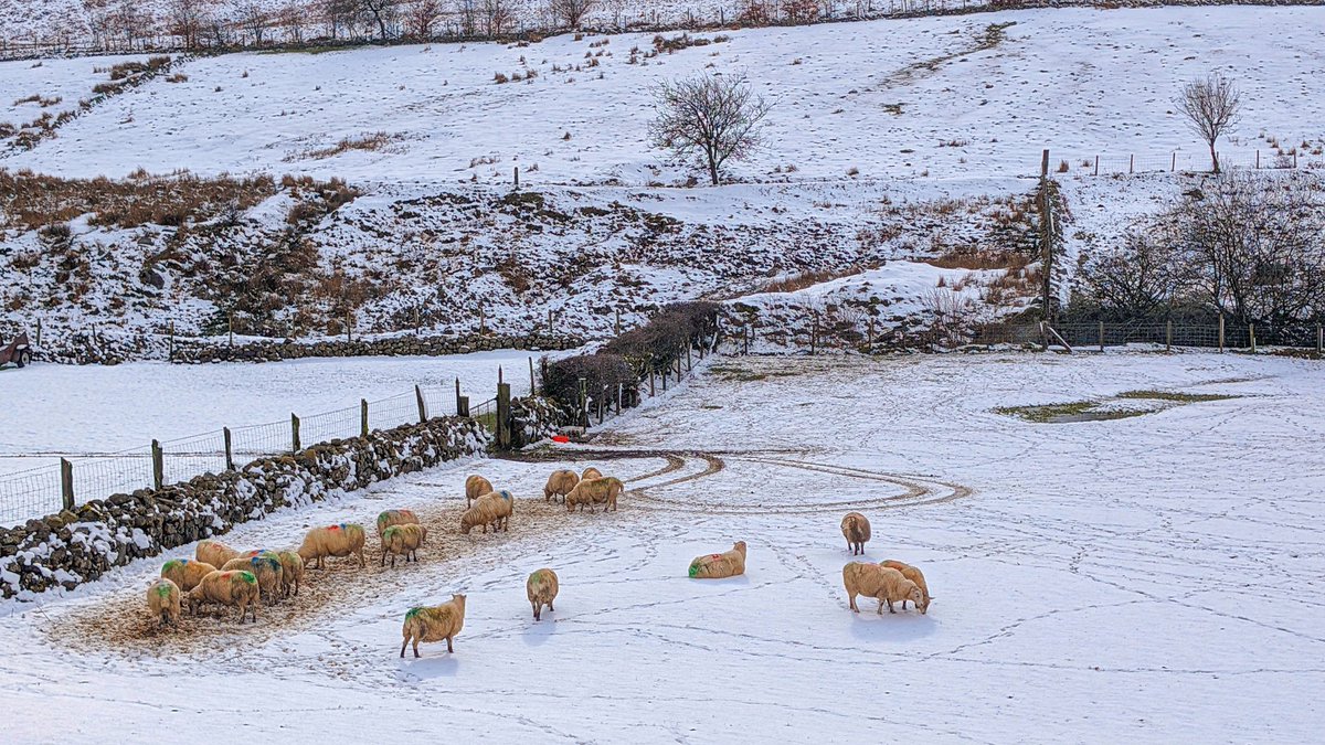 M∆FF™ (@ma038814) on Twitter photo 