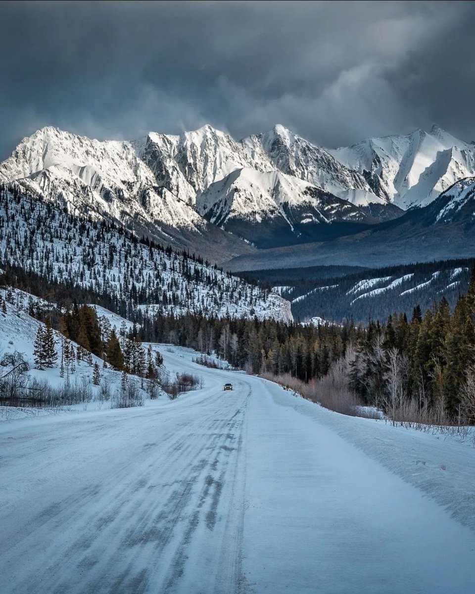 Dan the Man tweet media