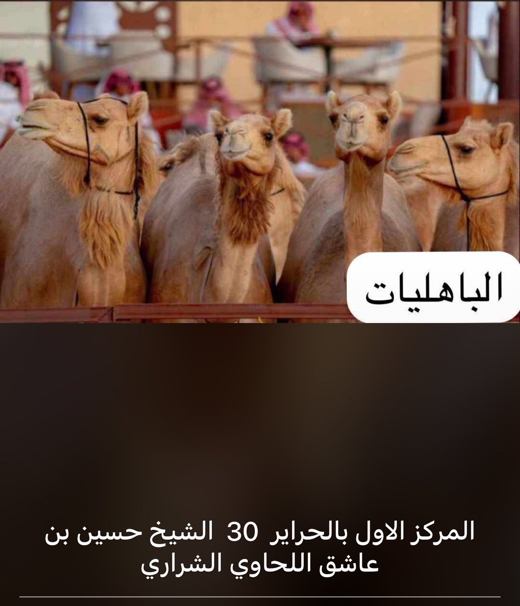 Spark55515's tweet photo. نبارك لانفسنا وثم لشيخنا ، الشيخ حسين بن عاشق اللحاوي فوز الباهليات بالمركز الاول شوط الحراير جمل 30. https://t.co/jV5I2RlAkV