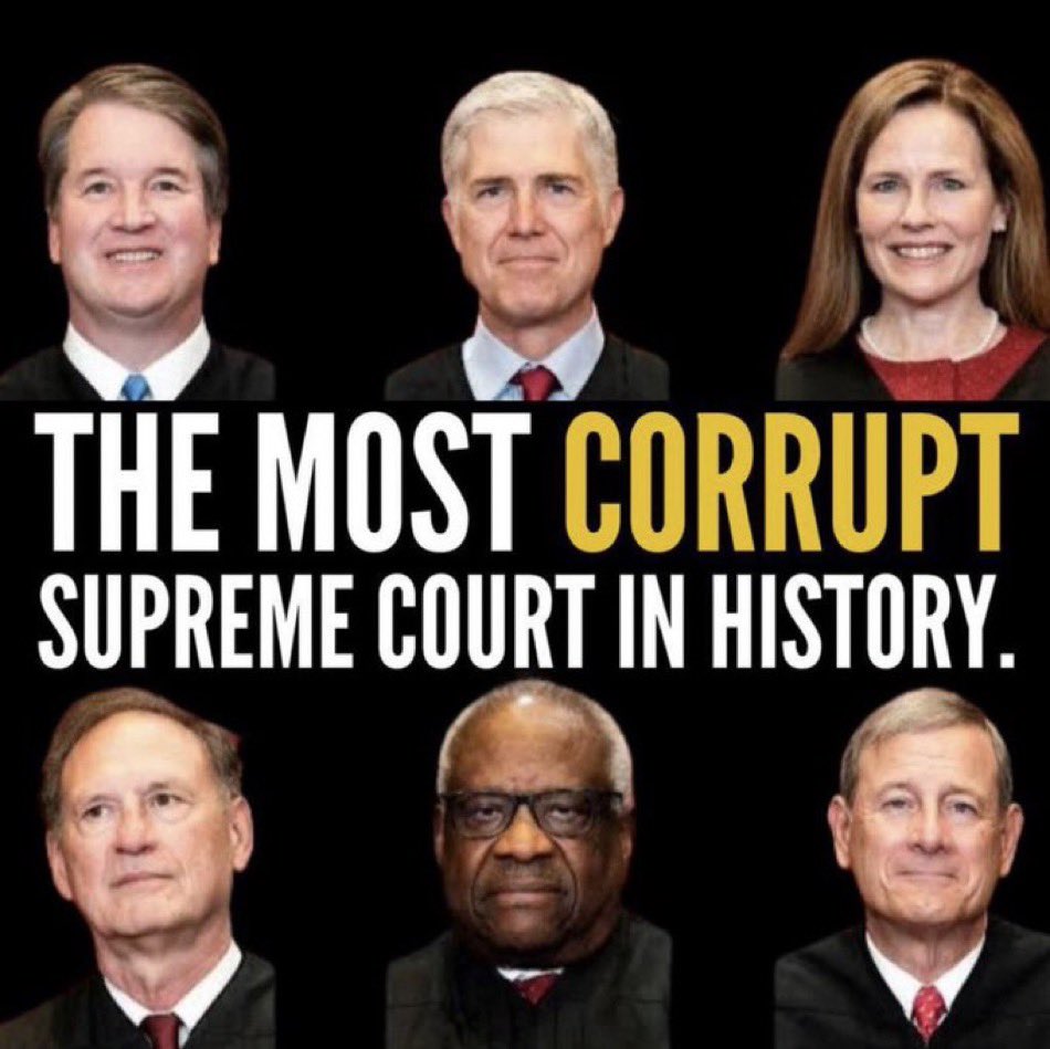 We weren’t appointed because we’re brilliant jurists, with remarkable insight into the intricacies of the U.S. Constitution.

We were chosen because we were for sale, and hopelessly— transparently— compromised.

Case closed.