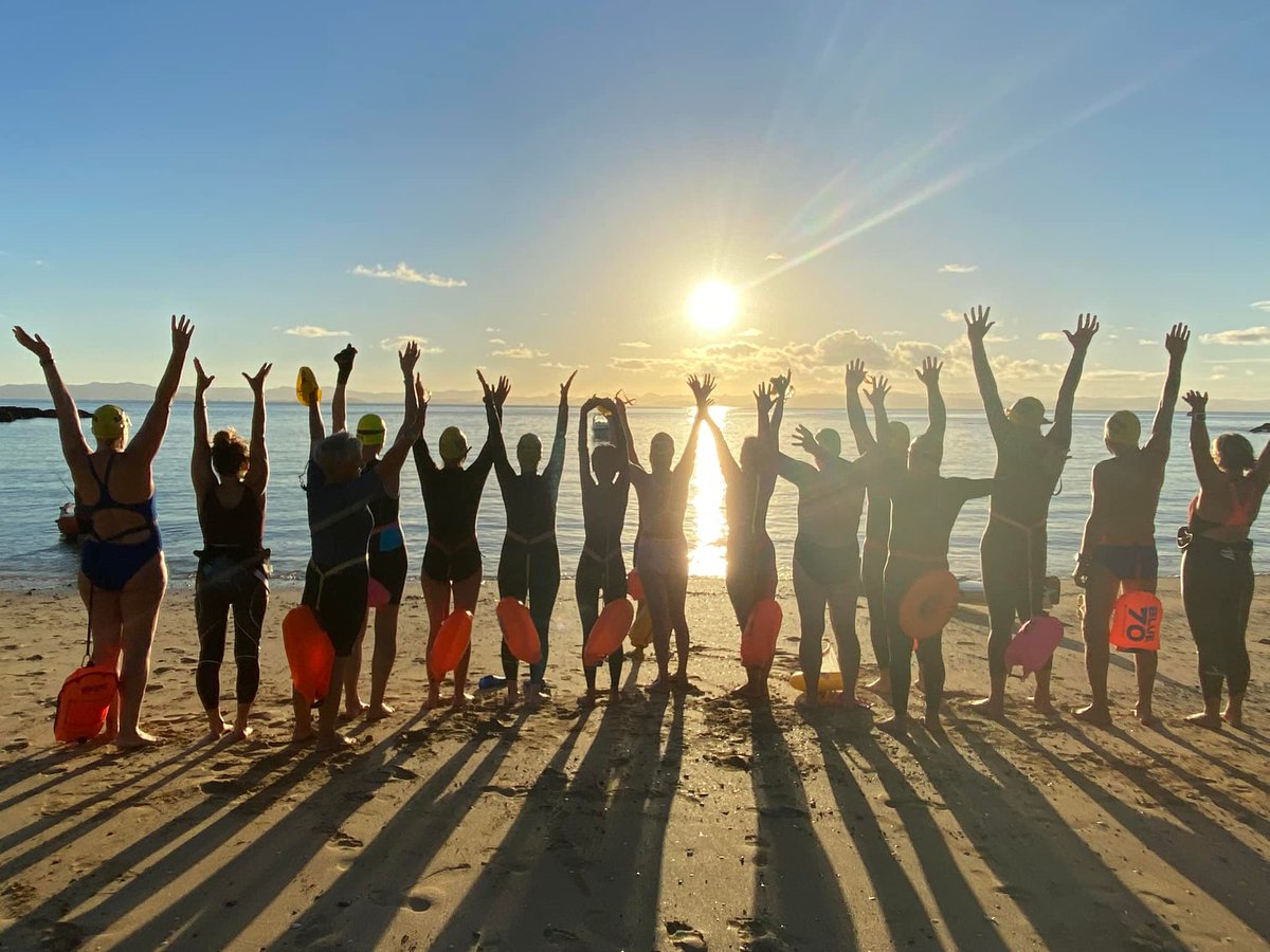 Samoa Swim tweet media