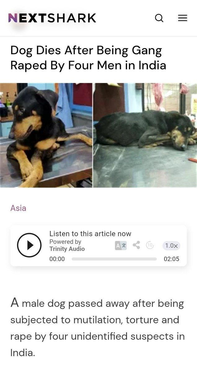 FuwardTds's tweet image. what the actual fuck is wrong with Indians...

#Indians #BJP #TaylorSwiftErasTourSG