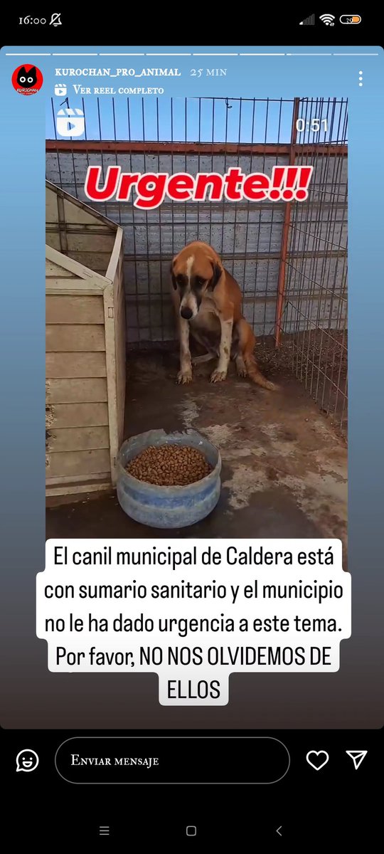 Masuesa's tweet photo. URGENTE https://t.co/jiTc1Kt3v1