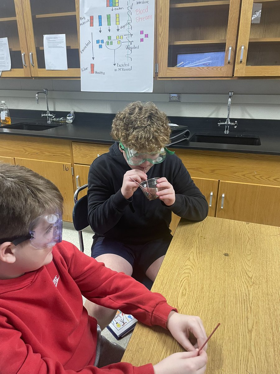 7th grade Science students blowing bubbles into a bromothymol blue solution to show that we breathe out carbon dioxide! #ABOVEandBEYOND @BoydCoSuper @BCPSdistrict @BCMS_Principal