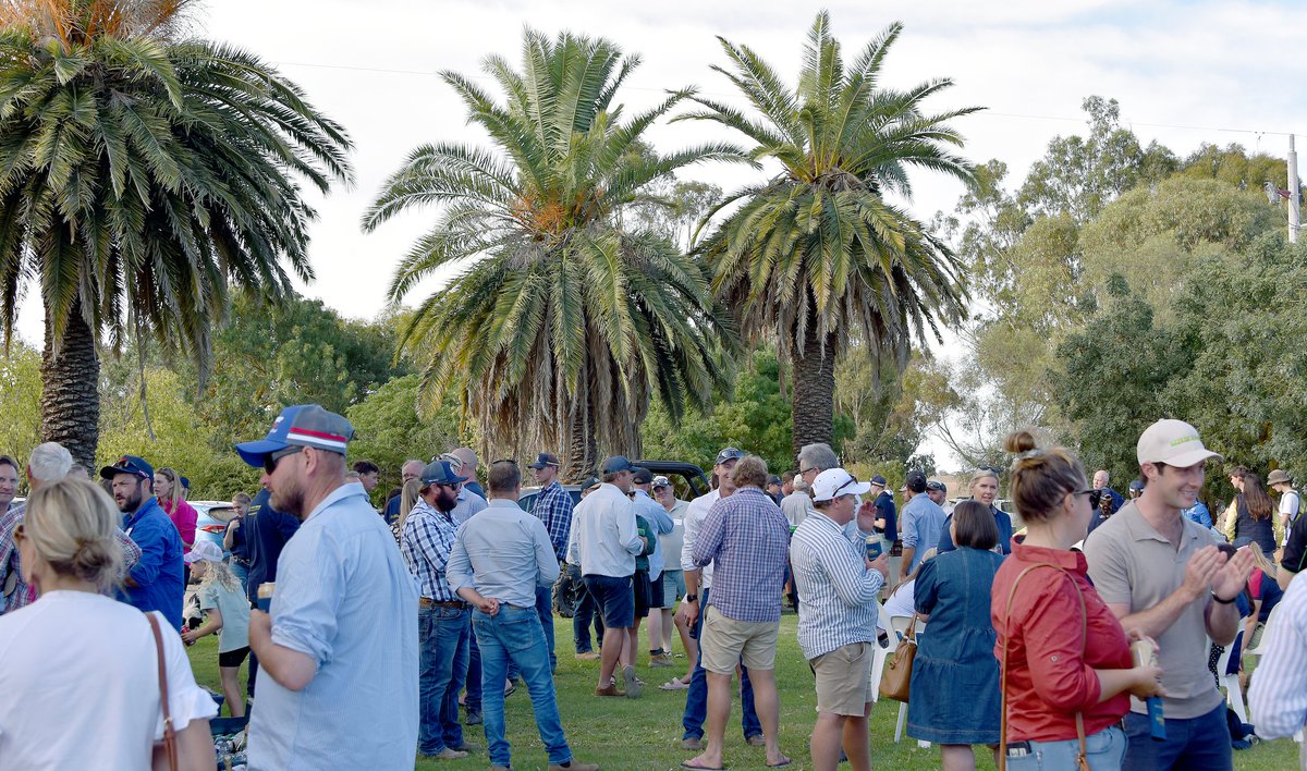 FarmTender's tweet photo. We love a good cut out.... It was a cracking evening post our FarmTender2024 - Entrepreneurs in Farming event in the Glendemar Woolshed at Marnoo. Thanks to everyone involved. https://t.co/OzKGlR6ILV