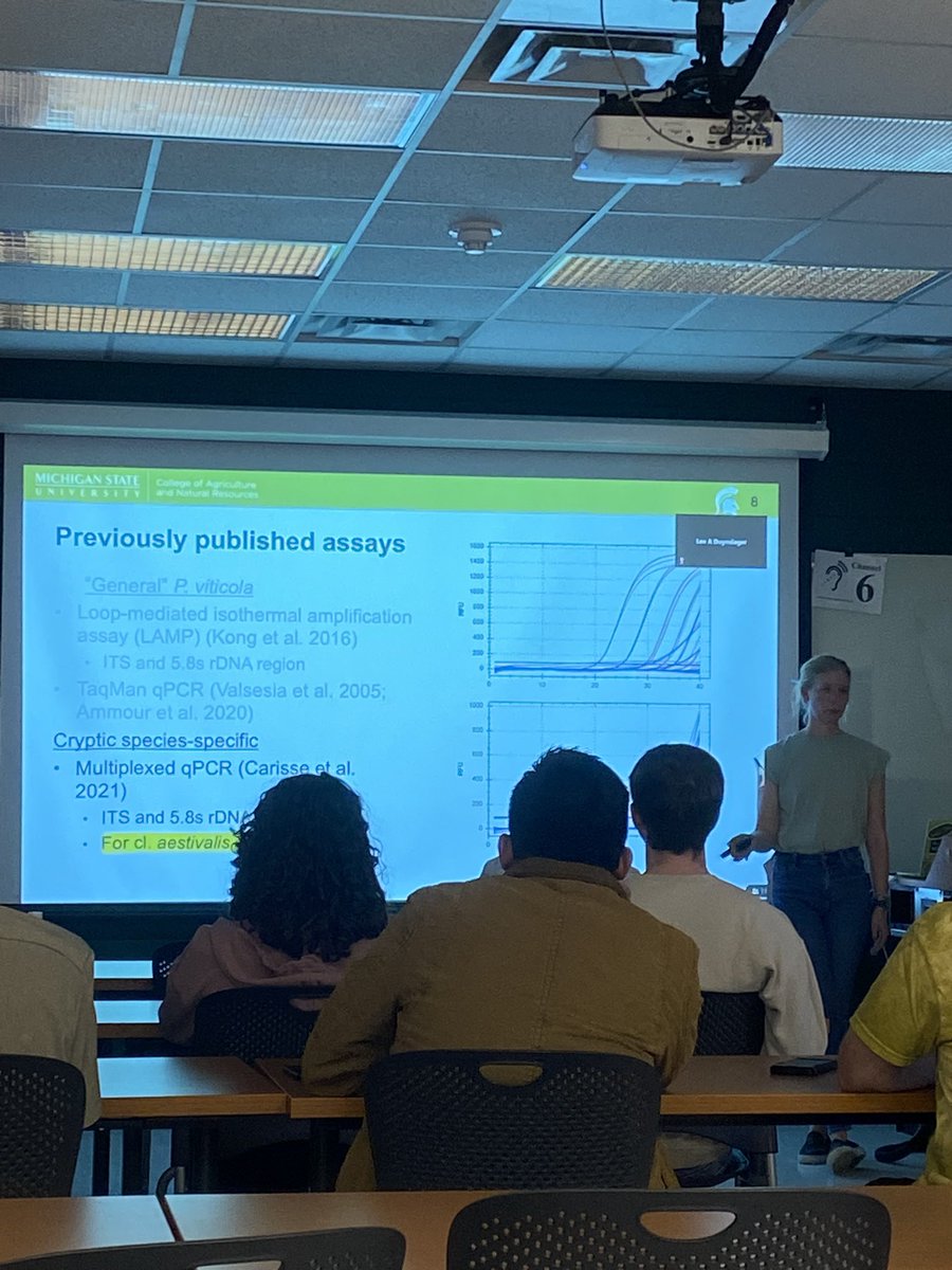 Great seminar, @PhytoaLEXIn_12! Your work on developing and validating molecular assays for detecting and differentiating Plasmopara viticola cryptic species, causal agent of #Grapevinedownymildew #disease, is groundbreaking. Keep up the amazing research! 🧬🧪 @Tmiles_MSU
