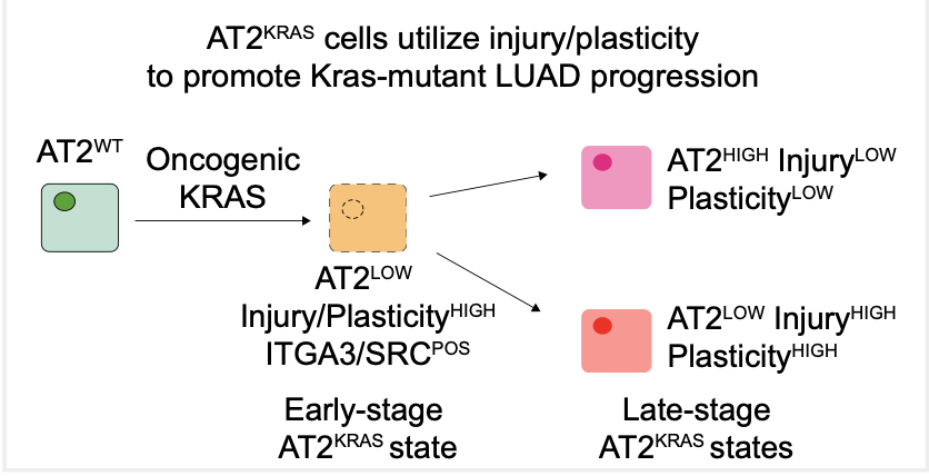 Carla Kim Lab tweet media