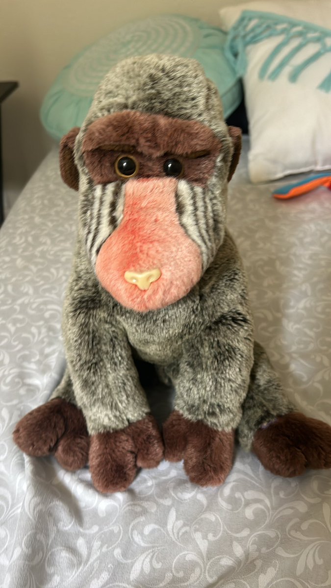 Mr baboon butt (@Mrbaboonbutt) / Posts / X
