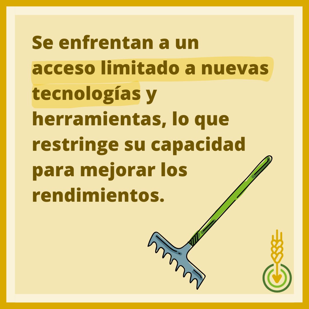 ASF_agro's tweet photo. ¿Quién es el #pequeñoagricultor de Iringa, Tanzania? 👩‍🌾🌱👨‍🌾

Desliza las imágenes para descubrirlo 👀.

#smallfarmers https://t.co/UeAqMUvuVe