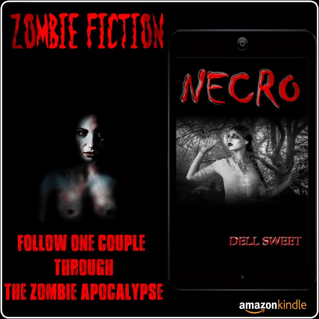 smashwords.com/books/view/725…

Necro looks at the Zombie Apocalypse through the eyes of one couple as they awaken to it and try to keep themselves alive through it.

#kindle #kindlebooks #kindlereaders #kindles #ebooks #ebooksale #smashwords #amazon #apple #applebooks #kobo #zombies