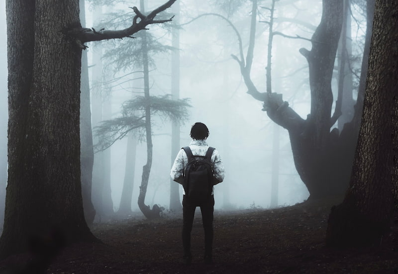InvicIncognito's tweet image. Feeling lost in literature analysis? Our tutors can be your guide! #LiteratureHelp

Dm ASAP