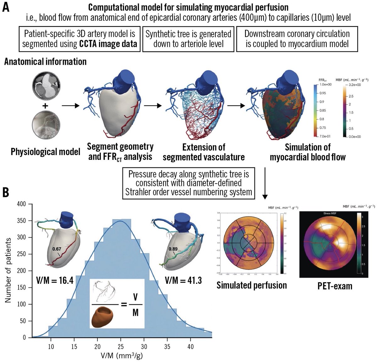 🔴STATE-OF-THE-ART : Computed tomographic angiography in coronary artery disease

eurointervention.pcronline.com/article/comput…
#cardiology #cardiotwitter #CardioEd #cardiox #MedEd #medical #medtwitter