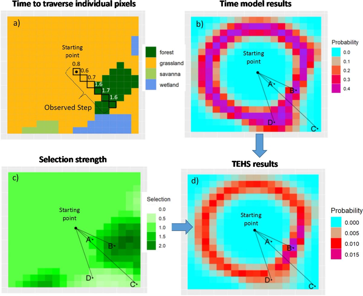 Excited to share new work led by @DenisRValle and w @josh_a_cullen @AttiasNina and other great co-authors. This work develops a new modeling framework to better link habitat selection with connectivity analysis: rdcu.be/dAjov