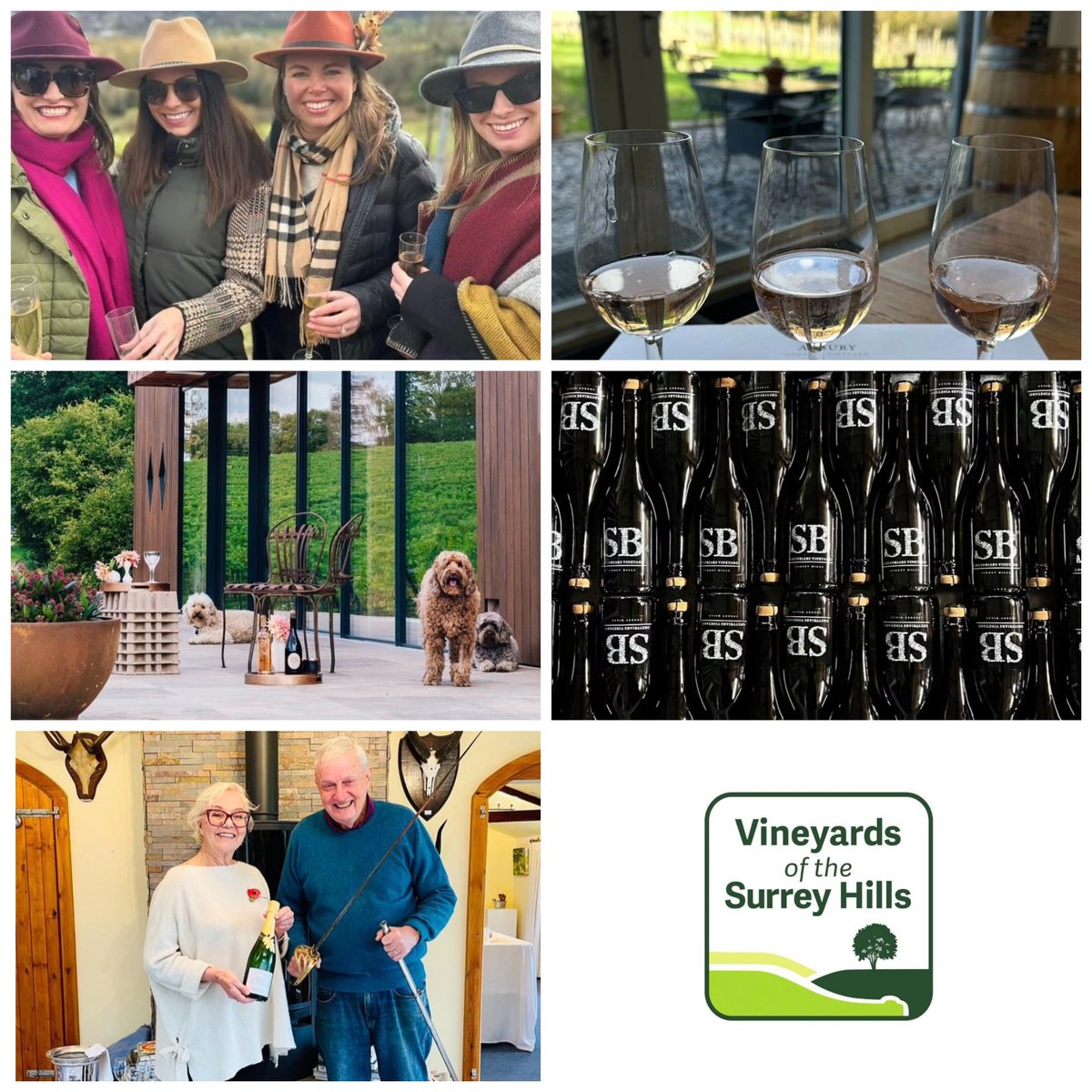 Top Picks! A selection of recent photos from our Vineyards of the Surrey Hills wine route - check out our Instagram for full details. Do make sure to share your shots with us when visiting, too. 📸🥂😊