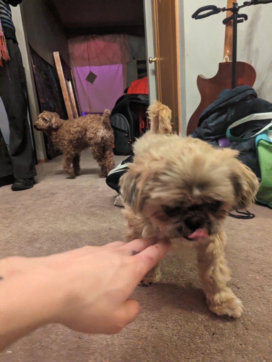 Sol The Arcane tweet media