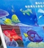 TyNN80s's tweet image. #EndlessOceanLuminousANALYSIS This is part of a photo of a #EndlessOceanLuminous preorder display courtesy of @TokyoGameLife but I cropped it into several photos so I could analyze this poster's screenshots!!!!!!!  First we have 2 #YellowTang in a coral reef with a