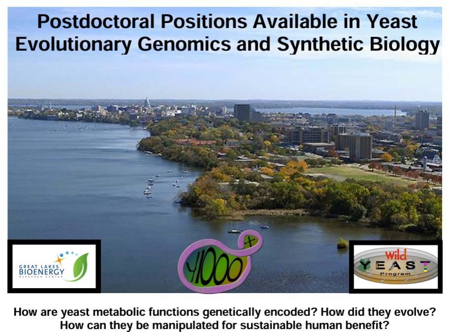 We're hiring postdoctoral researchers in yeast evolutionary genomics and synthetic biology! Yeasts are incredibly diverse and so are the projects available - from basic and fundamental principles of evolution to metabolic engineering for bioenergy: hittinger.genetics.wisc.edu/People/Join/po…