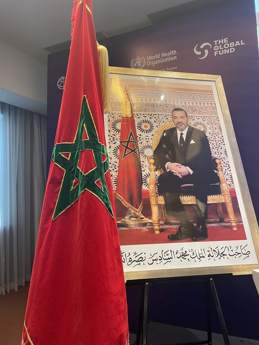 AwadMataria's tweet photo. ‘All hands on deck’ for the 1st Inter-Agency Regional High-Level Meeting on Health Financing in #EMR/#MENA!

Over 3️⃣ days, 4️⃣1️⃣ participants from 1️⃣7️⃣ countries join 7️⃣ partners to explore to-date’s issues in Hlth Financing 4 #UHC &amp; Hlth Security.

A COLLABORATIVE in the making! https://t.co/4fozbAnSUQ