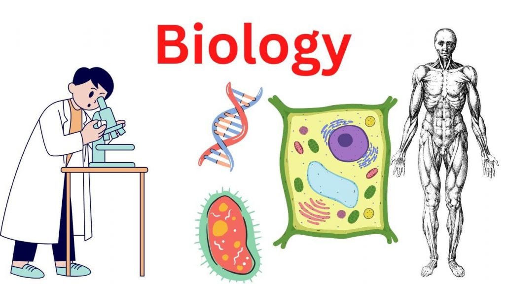 aplusuaeessays's tweet image. Don&apos;t let biology bite! Get a tutor to ace your next exam. #BiologyHelp