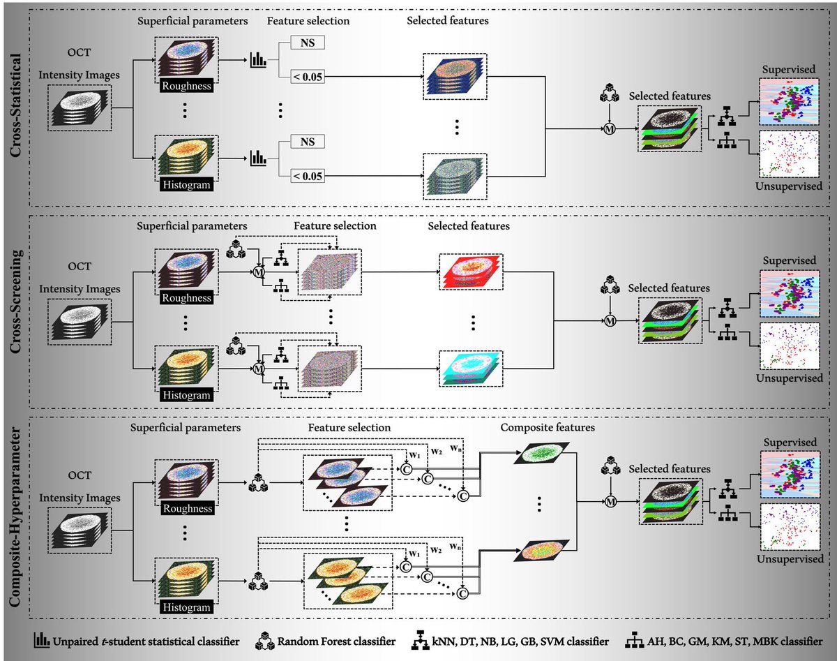 Feng (Lucas) Yan (@luchs_s) on Twitter photo We’re so happy to publish our newest work about MCTS drug screening with OCT imaging. The superficial and spatial features with machine learning are able to reveal the internal changes within MCTS culturing and drug screening.<a href="/OUResearch/">University of Oklahoma Research</a> <a href="/sbme_ou/">OU SBME</a> <a href="/TangLab2/">Tang_Lab</a> opg.optica.org/boe/fulltext.c… We’re so happy to publish our newest work about MCTS drug screening with OCT imaging. The superficial and spatial features with machine learning are able to reveal the internal changes within MCTS culturing and drug screening.<a href="/OUResearch/">University of Oklahoma Research</a> <a href="/sbme_ou/">OU SBME</a> <a href="/TangLab2/">Tang_Lab</a> opg.optica.org/boe/fulltext.c…