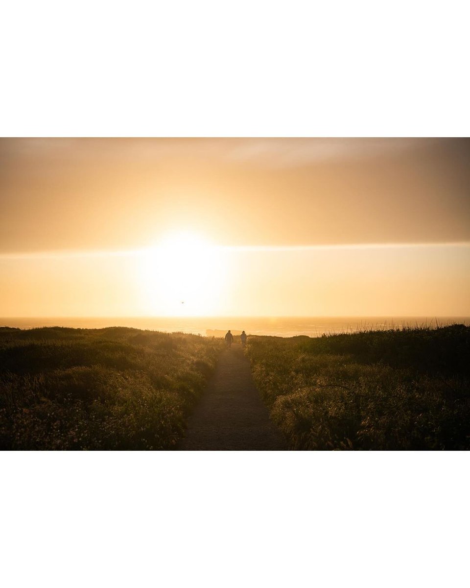 Chasing California’s golden rays. ☀️ ​ ​Thanks for cruising down the coast with us, Noah Jackson! ​#Hertz #California #NorthernCalifornia #CaliforniaDreaming #CaliforniaCoast #ShelbyMustang