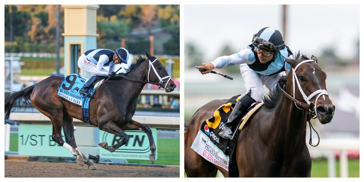 Queen Goddess has been retired from racing. A Grade 1-winner on dirt, 3x Graded winner on turf & MGSP, the daughter of Empire Maker racked up over $860k in purse money. @mwmracing crafted another work of art developing the Queen. Our partners appreciate the ride! #EclipseFillies