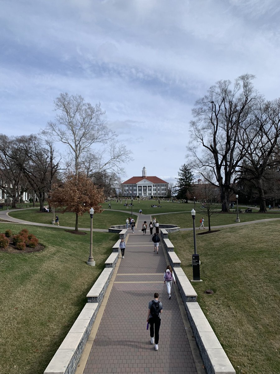 JMU Student News tweet media