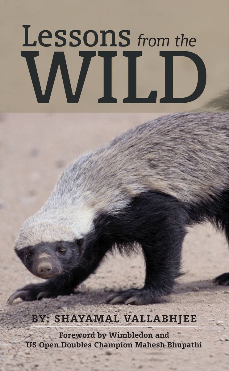 HelpEBooks's tweet image. This motivational guide draws inspiration from an inconspicuous group of wild animals. A heartwarming collection of stories is presented, drawing a parallel between the animals’ struggles and humans daily challenges. "Lessons from the Wild" here a.co/d/bBB2Q3I #Amazon