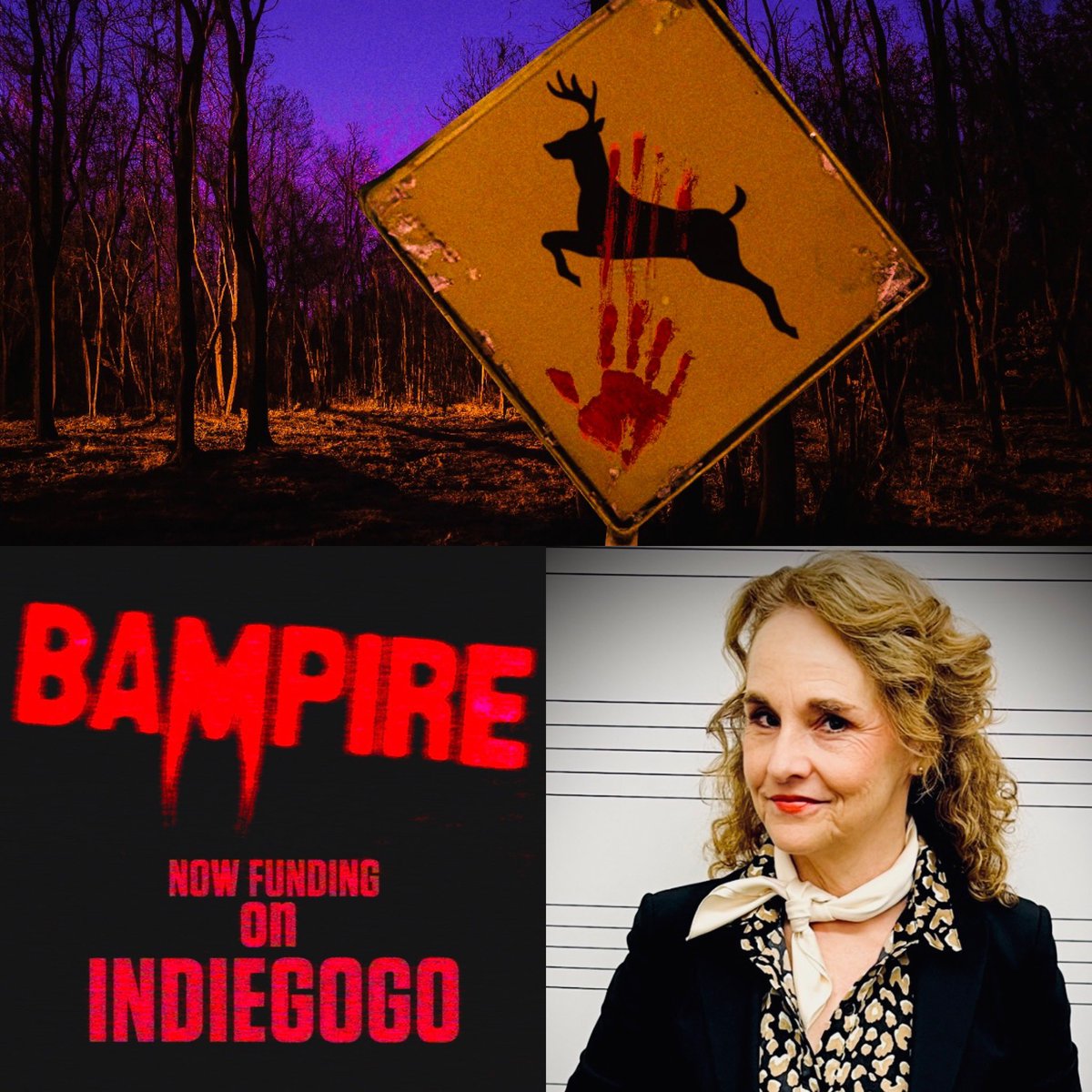 Do you like scary movies? Do you like indies? Well this one is BOTH! Check out their promo video to get more info to support! bampiremovie.com