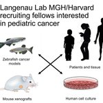 Photo by Langenau Lab (@LangenauLab)