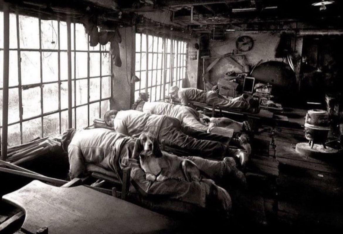 Historic Vids tweet media