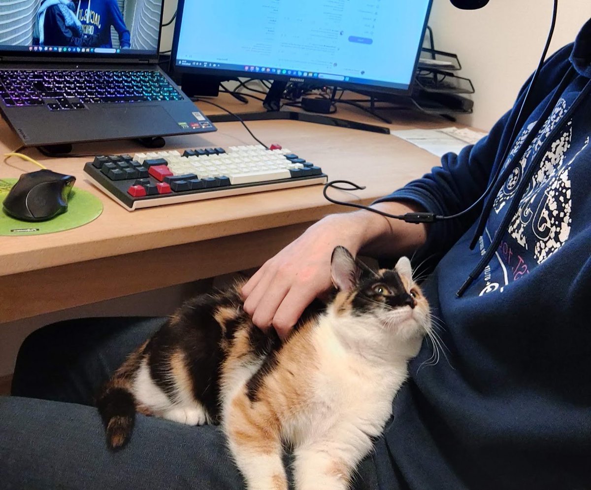 Glad to introduce to y'all my new baby: Yuumi 

She's a 5-months old kitten ready to eat/hug anyone who's standing in her way ! But once she looks at you, you're charmed forever 🥰