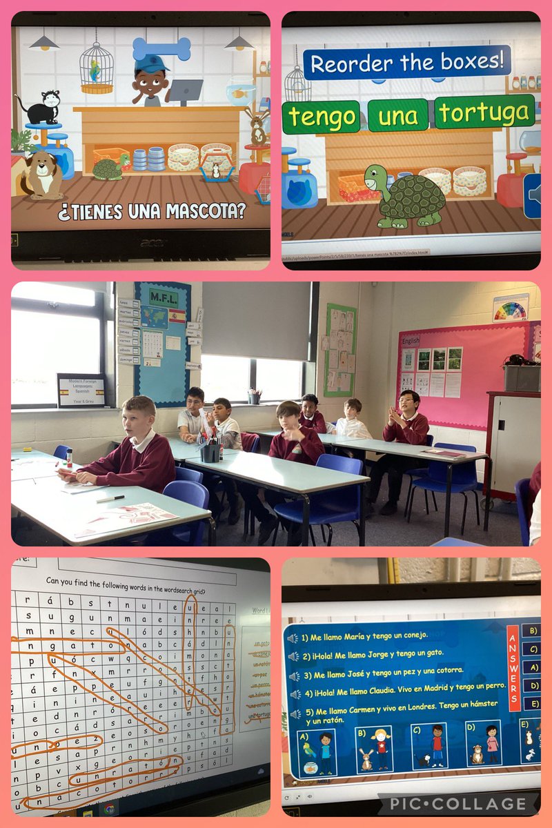 Year 6 have been learning all about pets in Spanish! 🐶🐱🐭🐰🦜🐢🐠 @SpanishMLP @MabLanePri @LanguageAngels_