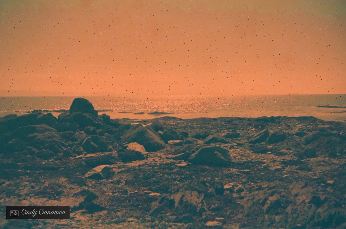 Cindy_Cinnamon's tweet photo. Cindy Cinnamon Photographie
https://t.co/g7SV9JrYvu
Rollei 35
Rare China Seagull Color - Expiré en 1990
#Art #SlowIso #RareFilm #SuperSlowFilm #Rollei35 #35mm #StLaurent #ColorFilm #Pierres #SeagullFilm #SeagullColor #ExpiredFilm #SaintLaurent #Fleuve #IsleAuxCoudres #Canada https://t.co/2Jem558bho