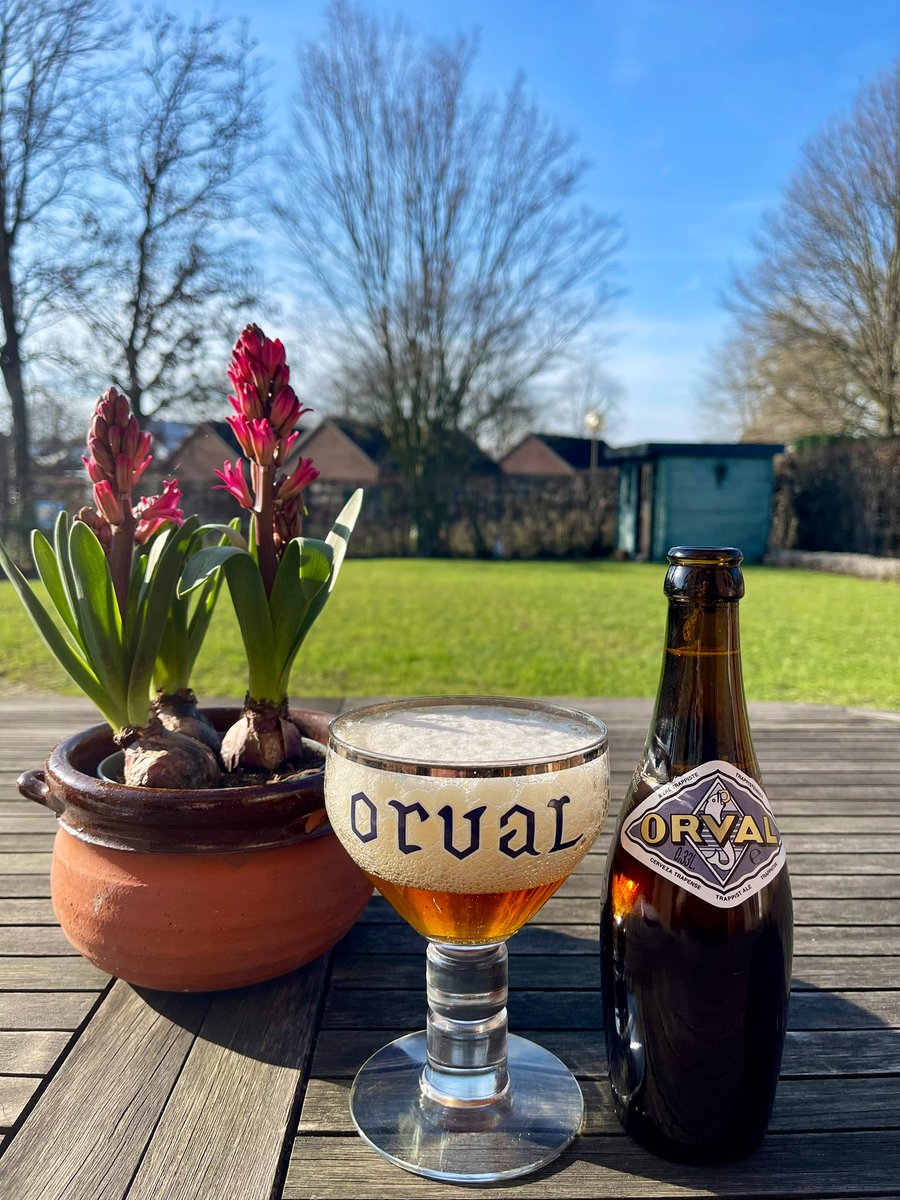 joukesp's tweet image. #MondayLunch #Hamburger #BrusselsSprouts #Potatoes
Quick &amp;amp; Simple lunch: bacon-wrapped hamburger, brussels sprouts, potatoes.
Côtes du Rhône Villages, Laudun by @bernardmagrez
86-88
Our magnolia is starting too bloom
(2 wks early!) and we sat outside for 1st time ln 2024!
Spring!