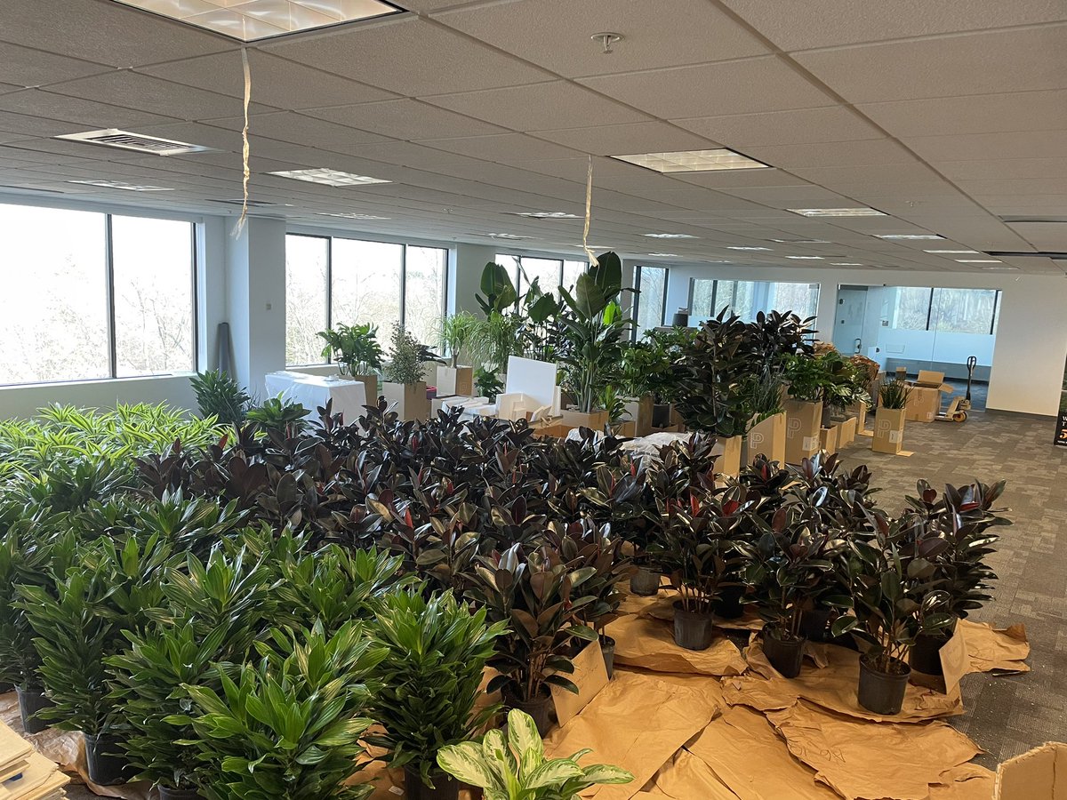 plantwerks's tweet photo. A couple more days for this beautiful installation… https://t.co/BlK40ZJADG