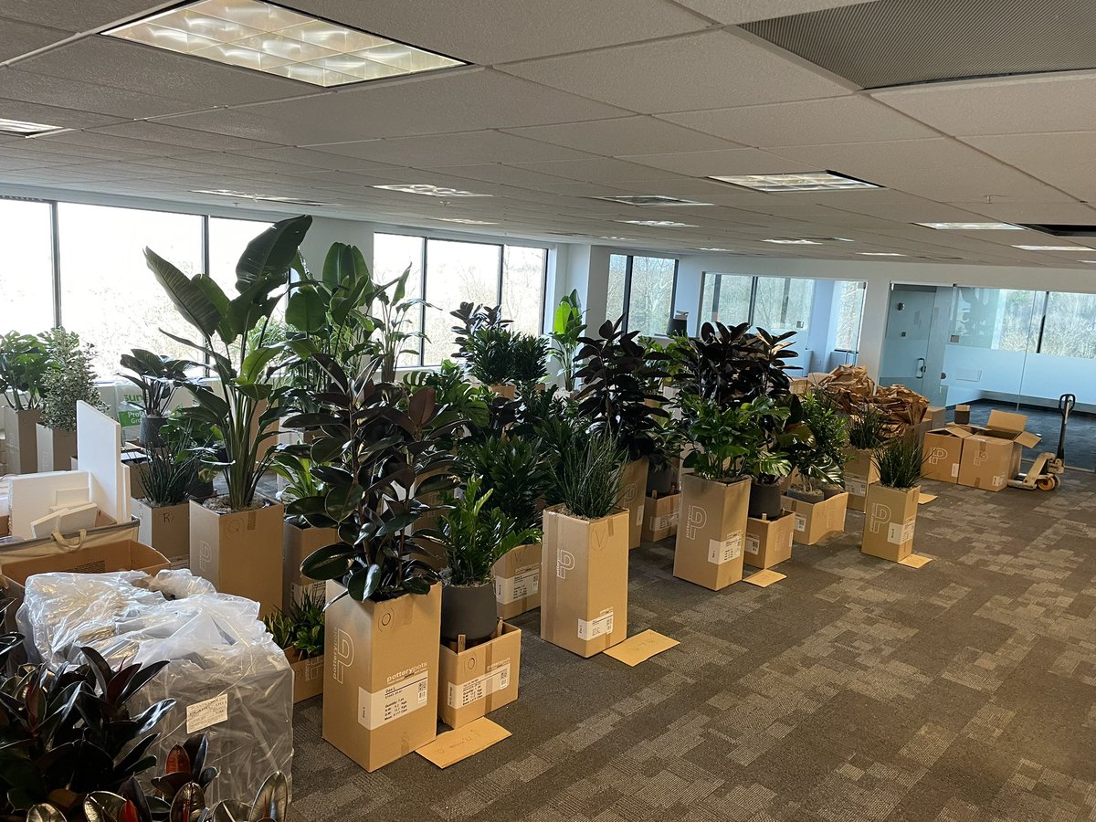 plantwerks's tweet photo. A couple more days for this beautiful installation… https://t.co/BlK40ZJADG