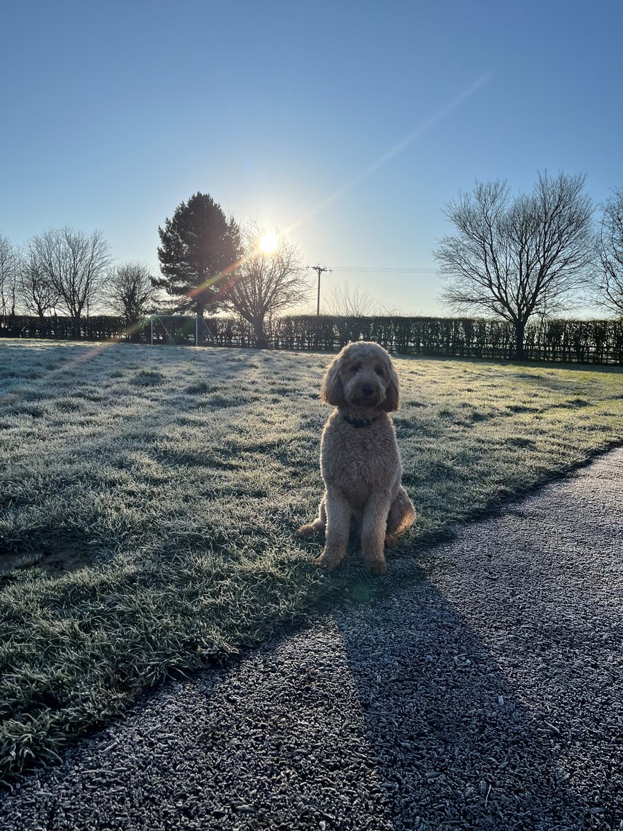 It's been a beautiful but cold day today at Dove Bank.