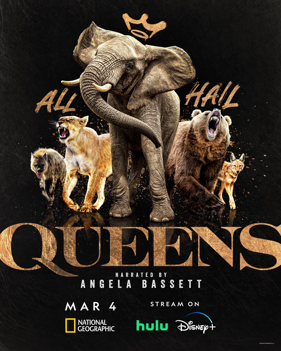WarwickSloss's tweet photo. Hello again. Here’s a show that I DOPeed on. Ours is Ep3 Tiny Queens. You can’t see our subjects here, presumably because they’re too tiny to see with the naked eye. That’s definitely the only reason I can think of.
Many thanks to all on the team, I’m told it’s frickin’ ace. https://t.co/94pKZeUyiD