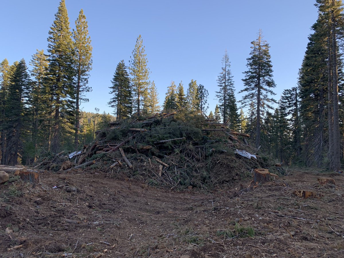 According to the forest service, nothing says “healthy and safe forest” like a giant pile of dead trees waiting to be shipped off as #biomass. This is NOT protecting communities from #wildfire. It’s time to #StopTheChop and demand funding for infrastructure hardening instead.