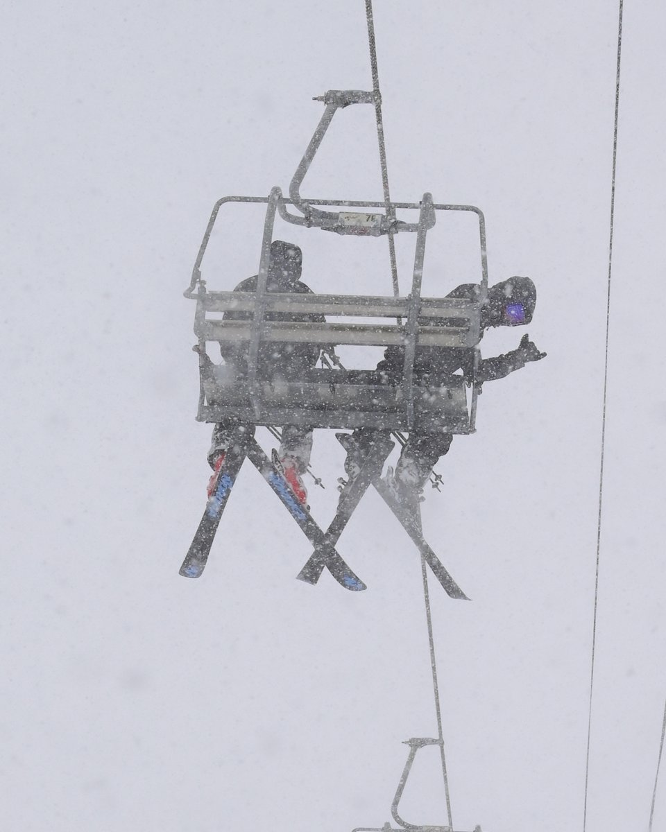 SchweitzerID's tweet image. +10” of light powder on top of last week’s storms, quiet Monday, and this miiiiight just be the best day of the season so far! Snow is still coming down, fresh lines everywhere, still time to make some turns. See you up here.  bit.ly/Schweitzer-Aft…
#schweitzerlife #powderday