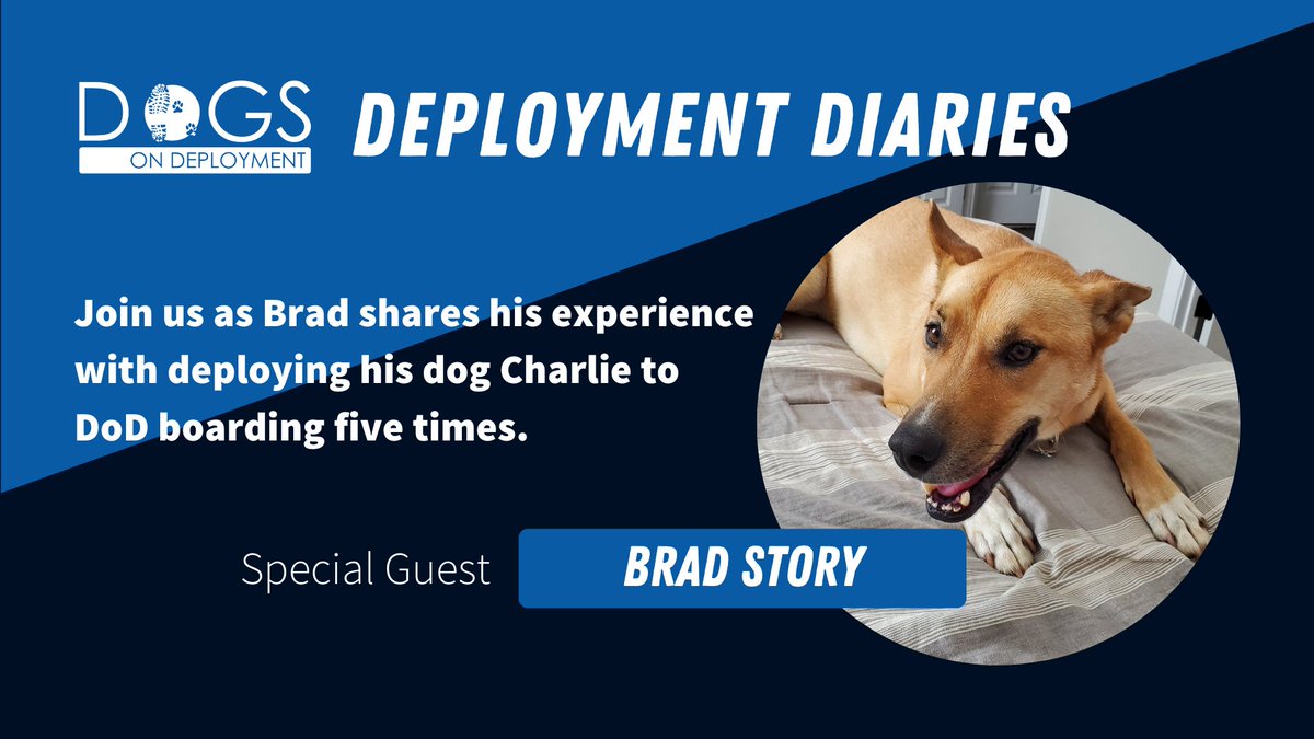 DogsonDeploymnt's tweet photo. ποΈ Introducing "Deployment Diaries!" πΎ Join us as we share the inspiring stories of military pet owners and their beloved companions. Watch the full interview now!
π: https://t.co/QeSNZtZ4XB
#DeploymentDiaries #Podcast #DogsOnDeployment #MilitaryPets #FrontlineTails #Blog https://t.co/B6SMjSvGAo