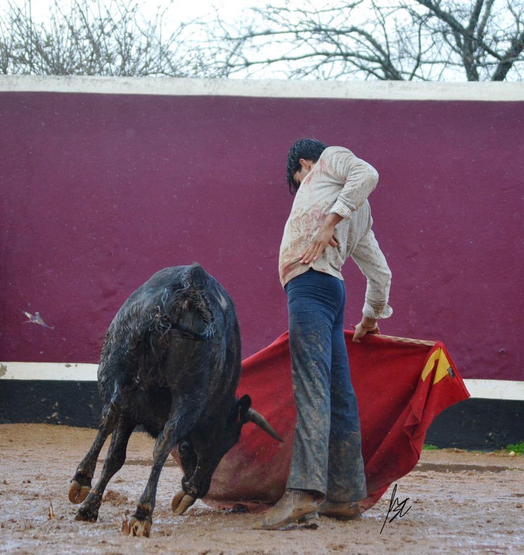 Pedraza de Yeltes tweet media