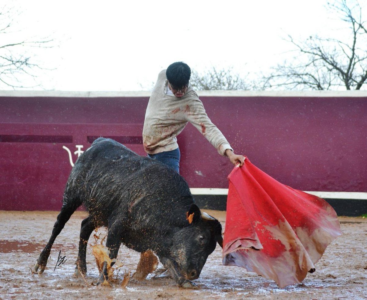 Pedraza de Yeltes tweet media